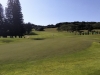 t7green