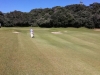 t8green