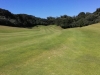 t9green