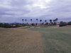 T11GREEN