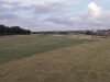 T17GREEN