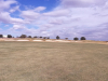 T6GREEN