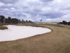 T7GREEN