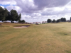T7GREEN