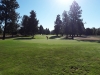 T4GREEN