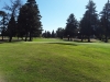 T8GREEN