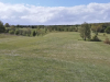 T11