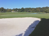 T10green