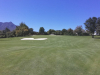 T1green