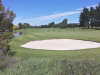 T3green