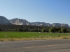 DSCN4652