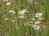 DSCN4664