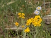 DSCN4666