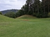 T11GREEN