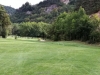 T13GREEN