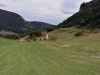 T6GREEN