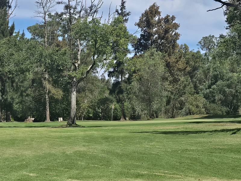 T2GREEN
