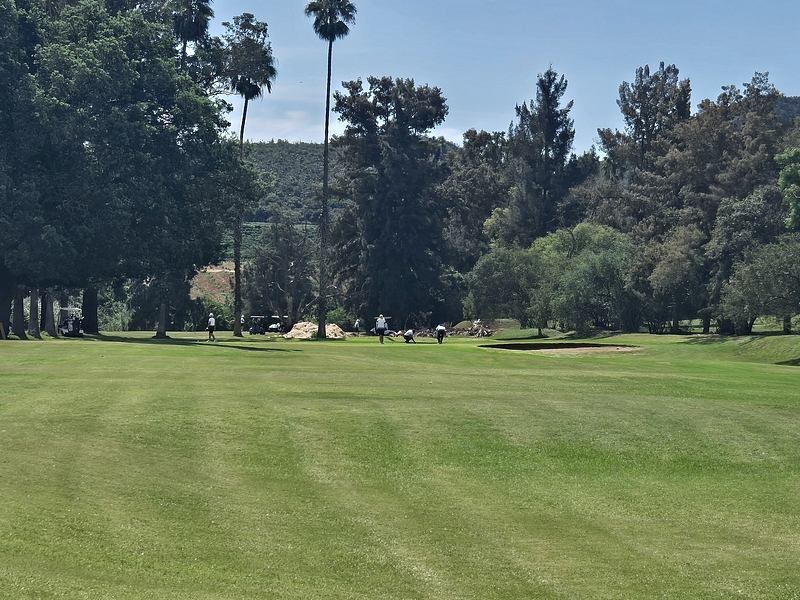 T3GREEN