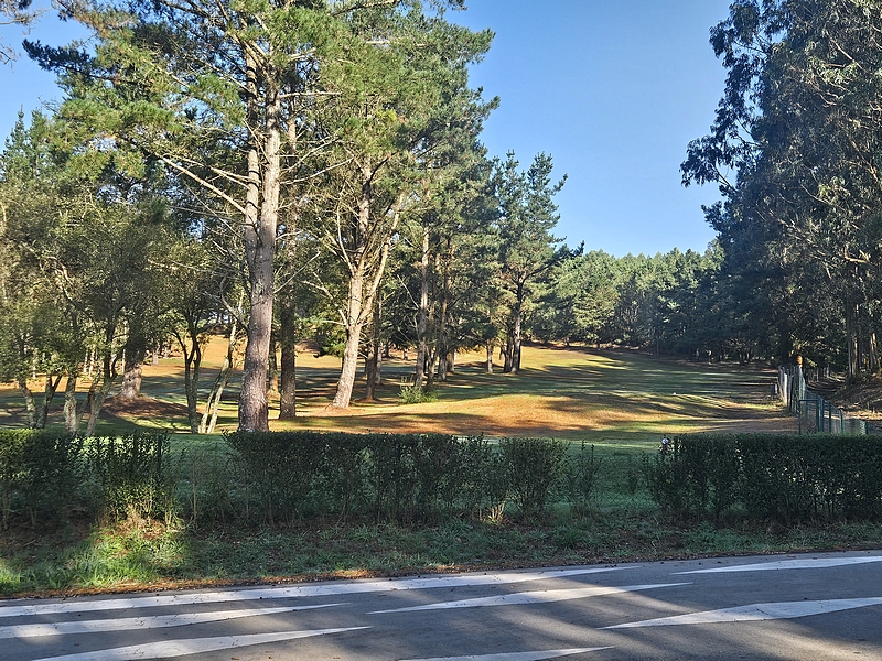 T1