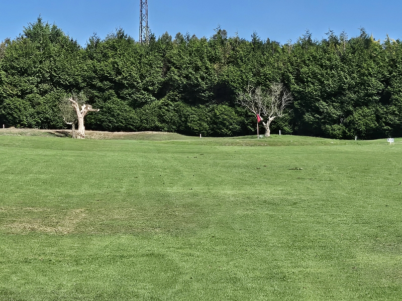 T14GREEN