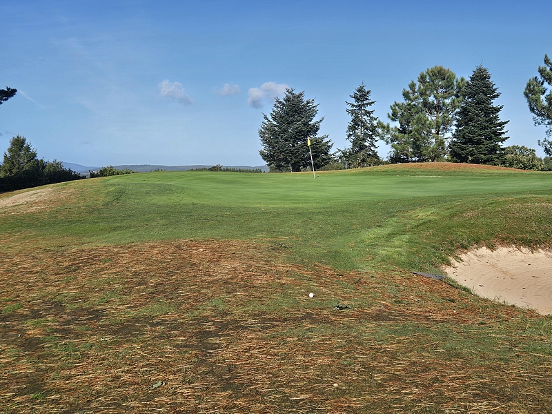 T1GREEN