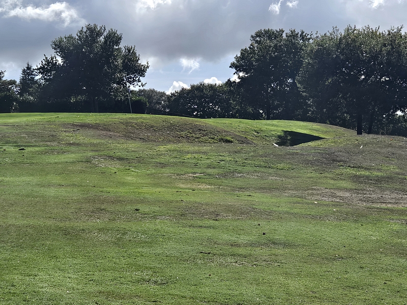 T6GREEN