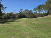 T13GREEN