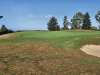 T1GREEN