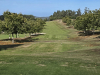 T4