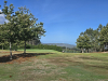 T4SUITE
