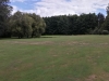T11GREEN