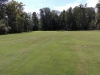 T7GREEN