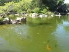 Jardin2