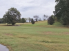 T12GREEN