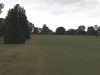 T1GREEN