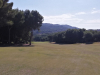 T11GREEN