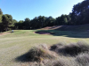 T15GREEN