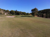 T17GREEN