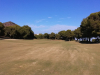T18GREEN