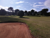 T3GREEN