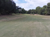 T5GREEN