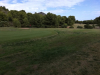 T8GREEN