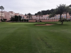 lamangn18green