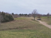 T14