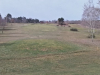 T7