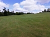 T1GREEN