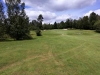 T4GREEN