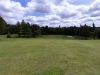 t12green