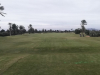 laser10