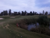 laser7green